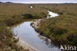 National Park Schiermonnikoog