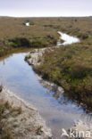 Nationaal park Schiermonnikoog