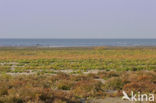 Nationaal park Schiermonnikoog
