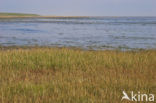 Nationaal park Schiermonnikoog