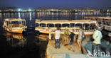 Nile
