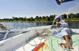 Nile