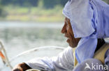 Nile