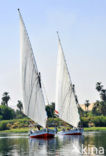 Nile