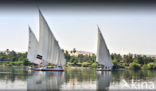 Nile