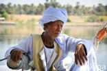 Nile