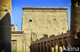 Philae Temple