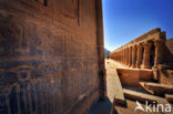 Philae Temple
