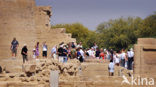Philae Temple