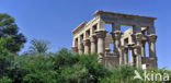 Philae Temple