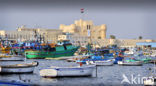 Qaitbay Citadel