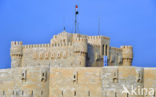 Qaitbay Citadel