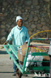 Sinai
