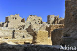 Siwa oase