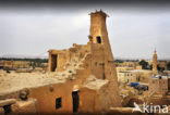 Siwa oase