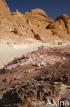 White Canyon