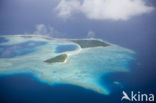 Ailinglaplap Atoll