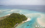 Ailinglaplap Atoll