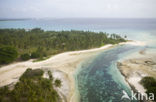 Ailinglaplap Atoll