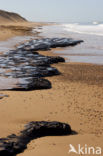 Atlantic Ocean
