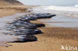 Atlantic Ocean