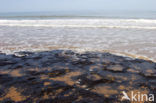 Atlantic Ocean