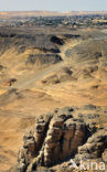 Bahariya Oase