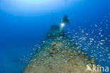 Pacific Ocean