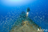 Pacific Ocean