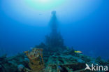 Pacific Ocean