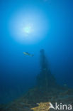 Pacific Ocean