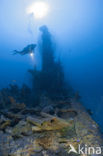 Pacific Ocean