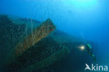 Pacific Ocean