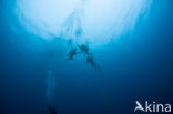 Pacific Ocean