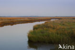 Nationaal park Schiermonnikoog