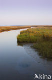 Nationaal park Schiermonnikoog