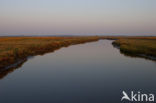 Nationaal park Schiermonnikoog