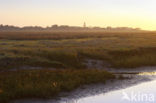 Nationaal park Schiermonnikoog