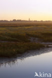 Nationaal park Schiermonnikoog