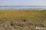 Nationaal park Schiermonnikoog