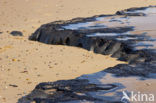 Olonne-sur-Mer