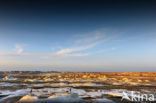 White Desert National Park