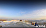 White Desert National Park