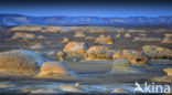 White Desert National Park