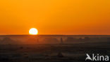 White Desert National Park