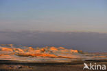 White Desert National Park