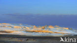 White Desert National Park