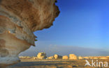 White Desert National Park