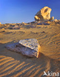 White Desert National Park