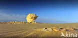 White Desert National Park